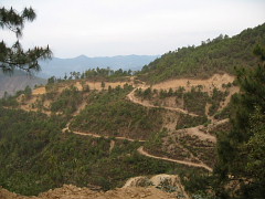 山道